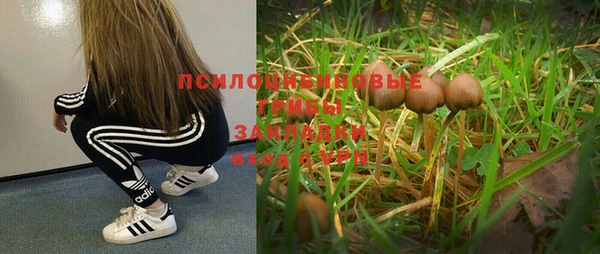 apvp Зеленодольск