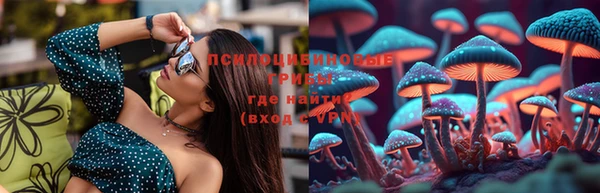круглые Зеленокумск