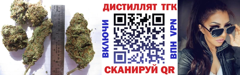 Купить закладки  Шадринск  ТГК концентрат 